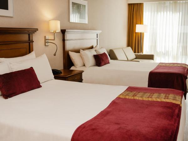 Blank Hotel Recoleta : photo 9 de la chambre chambre de luxe avec hydro