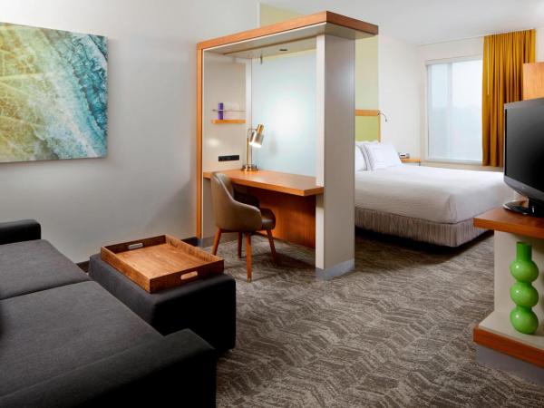 SpringHill Suites by Marriott Pittsburgh Bakery Square : photo 1 de la chambre studio lit king-size avec canapé-lit
