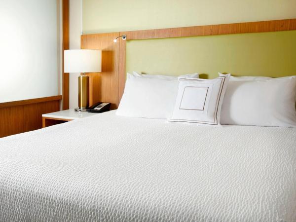 SpringHill Suites by Marriott Pittsburgh Bakery Square : photo 2 de la chambre studio lit king-size avec canapé-lit