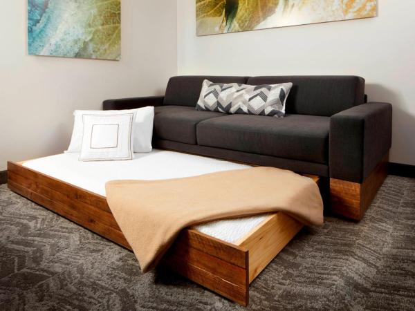 SpringHill Suites by Marriott Pittsburgh Bakery Square : photo 3 de la chambre studio lit king-size avec canapé-lit