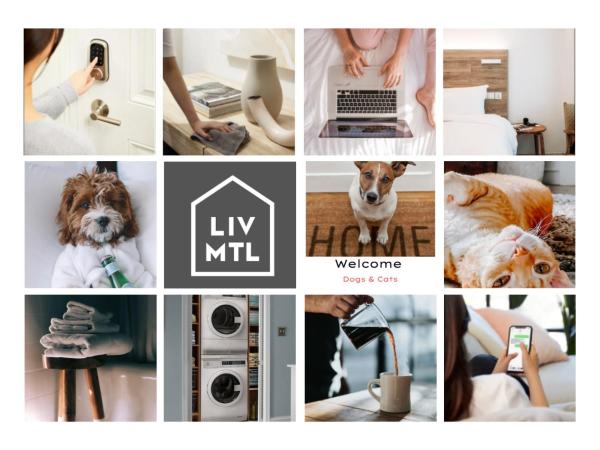 Liv MTL Plato : photo 7 de la chambre plato | luxurious 2br suite + rooftop bbq downtown montreal