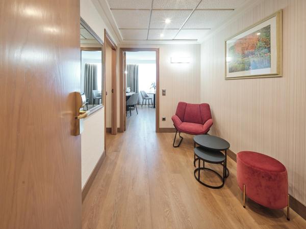 Hotel Albret : photo 3 de la chambre suite