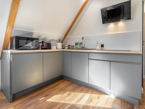 WILLA JAROSTA & SPA- free parking : photo 4 de la chambre appartement deluxe