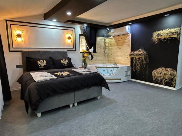 Montenegro Hotel : photo 3 de la chambre chambre lit king-size - accessible aux personnes à mobilité réduite