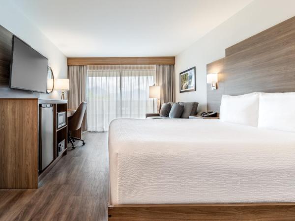 Atrium Hotel Vancouver : photo 1 de la chambre chambre lit king-size standard