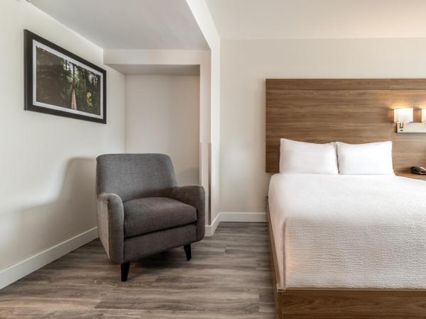 Atrium Hotel Vancouver : photo 8 de la chambre chambre standard avec 2 lits queen-size