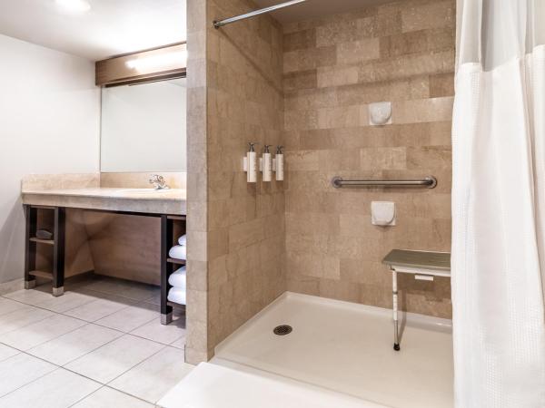 Atrium Hotel Vancouver : photo 9 de la chambre chambre double avec 2 lits doubles - accessible aux personnes à mobilité réduite