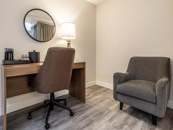 Atrium Hotel Vancouver : photo 5 de la chambre hébergement simple lit queen-size