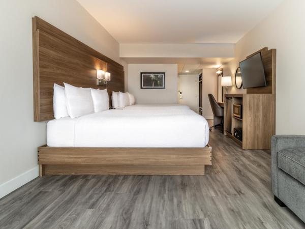 Atrium Hotel Vancouver : photo 2 de la chambre chambre double supérieure