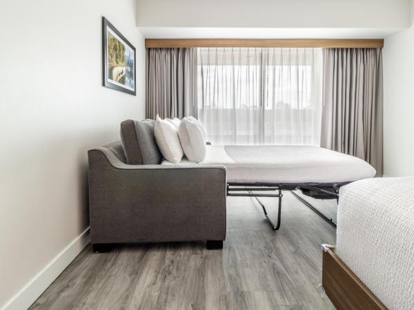 Atrium Hotel Vancouver : photo 4 de la chambre chambre double supérieure