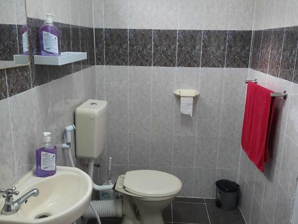 Citronella Villa Flic en Flac : photo 8 de la chambre appartement - vue sur mer