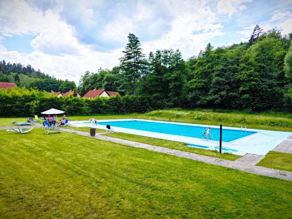 Geyserpark Village : photo 8 de la chambre chambre double ou lits jumeaux - vue sur piscine