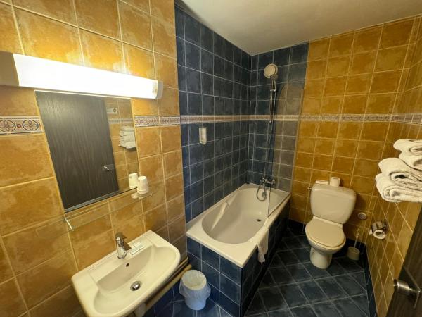 Hôtel Bosquet Pau Centre : photo 5 de la chambre chambre double confort