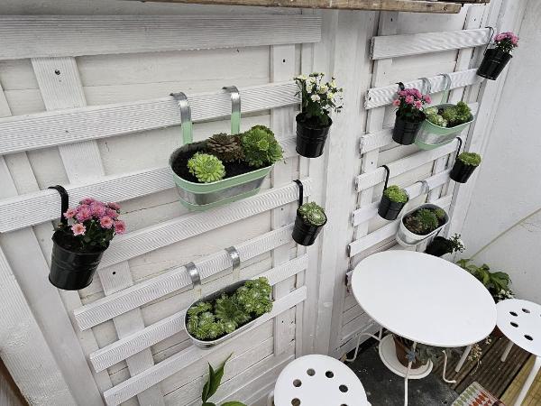 Saltwater Guest House : photo 4 de la chambre chambre double avec patio