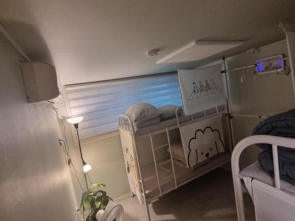 Four Seasons House (Female only) : photo 1 de la chambre lit dans dortoir pour femmes de 4 lits