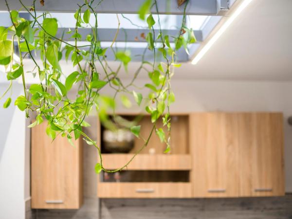 Lefka Hotel & Apartments : photo 8 de la chambre appartement deluxe