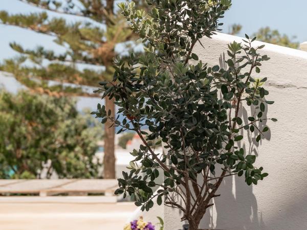 Rania Apartments Sea View : photo 9 de la chambre chambre simple Économique