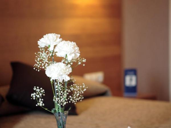 Hotel Don Paco : photo 9 de la chambre chambre double ou lits jumeaux