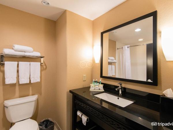 Comfort Inn & Suites Dallas Medical-Market Center : photo 4 de la chambre chambre lit king-size standard - non-fumeurs