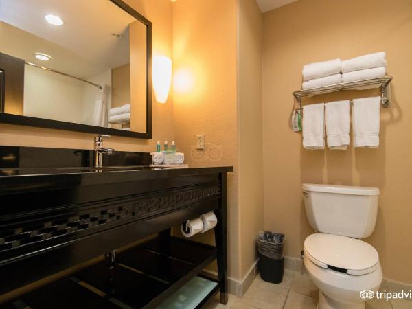 Comfort Inn & Suites Dallas Medical-Market Center : photo 5 de la chambre chambre standard avec 2 lits queen-size - non-fumeurs