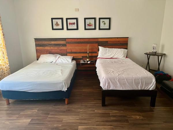 Cancun-Soho : photo 5 de la chambre chambre quadruple confort