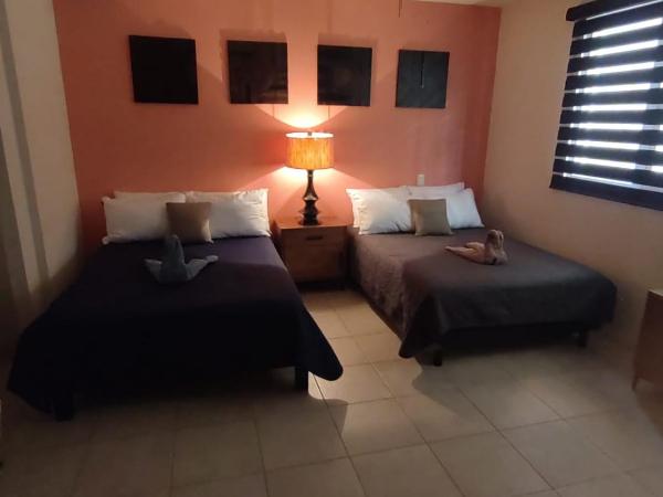 Ave Fénix Hotel and Resort : photo 2 de la chambre chambre double standard