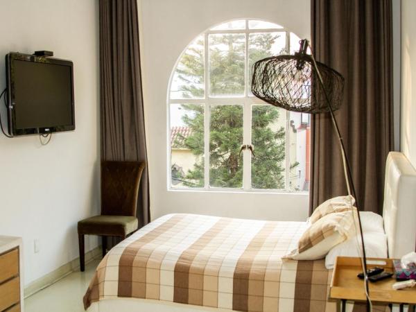 Condesa Haus Rentals : photo 4 de la chambre appartement avec vue