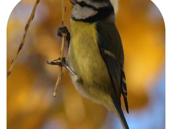 Casa Buri : photo 6 de la chambre chambre simple - vue sur parc