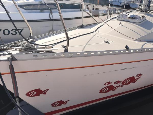 Le chant des mouettes - Voilier : photo 1 de la chambre mobile home