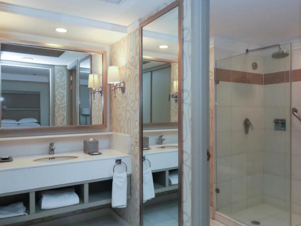 Barcelo Guadalajara : photo 2 de la chambre chambre double