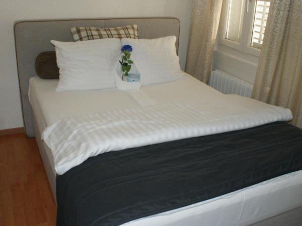 Kränzlin Hotel : photo 4 de la chambre chambre double avec douche et toilettes communes