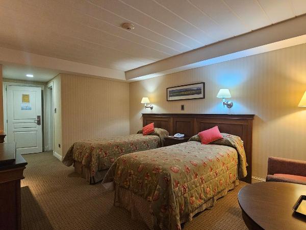 Hotel Quijote : photo 10 de la chambre chambre lits jumeaux confort