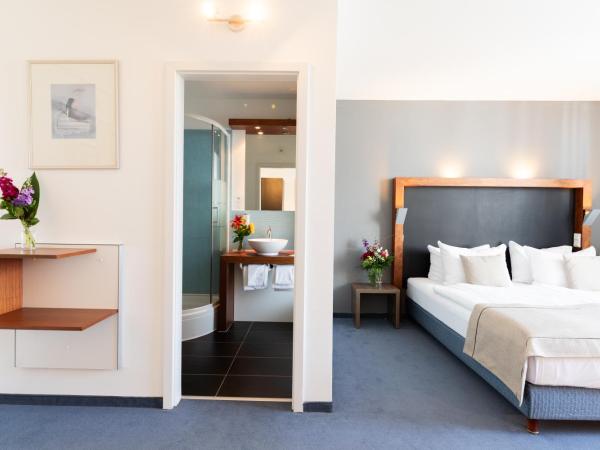 Hotel Aviva : photo 4 de la chambre chambre double confort