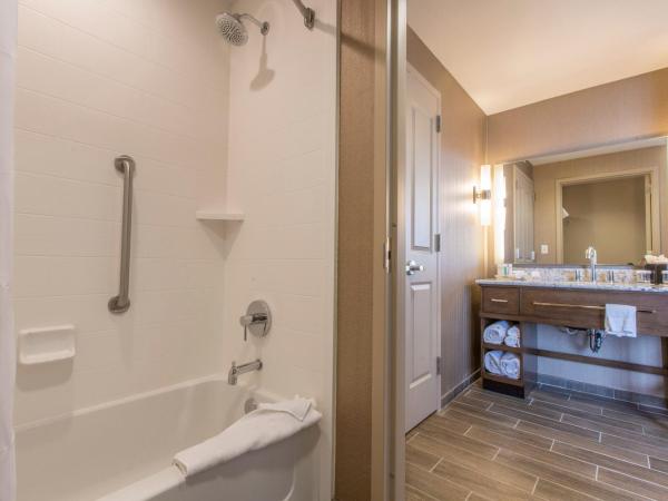 Homewood Suites by Hilton Houston Downtown : photo 1 de la chambre suite studio lit king-size - non-fumeurs