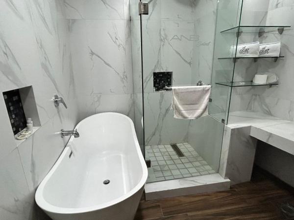 Hotel ANB Aeropuerto Guadalajara : photo 1 de la chambre suite lit king-size