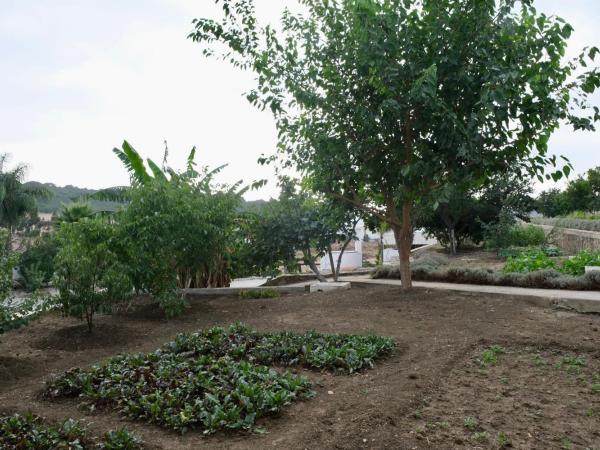 Jnane Yemma : photo 10 de la chambre studio avec vue sur jardin