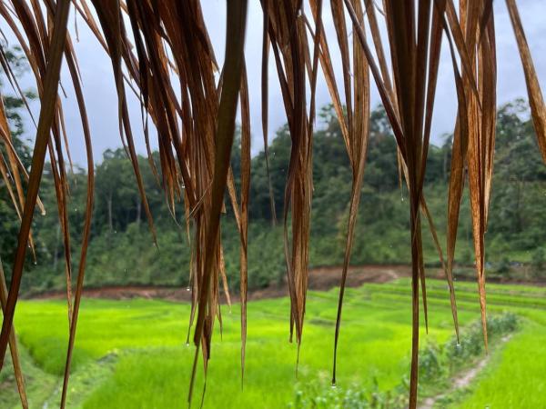 Chibacall Karen Mountain Hideaway Farmstay : photo 1 de la chambre chambre double avec balcon