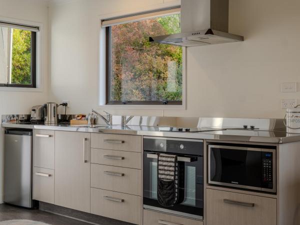 Wanaka Top 10 Holiday Park : photo 4 de la chambre studio en motel avec cuisine