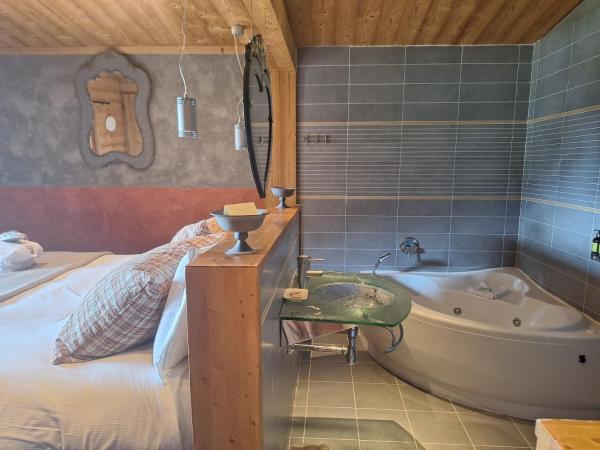 Les Grands Montets Hotel & Spa : photo 1 de la chambre suite junior - vue sur mont-blanc