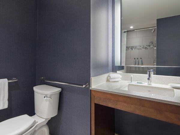 Residence Inn Atlanta Perimeter Center Dunwoody : photo 10 de la chambre studio lit queen-size