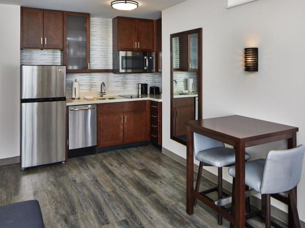 Residence Inn Atlanta Perimeter Center Dunwoody : photo 8 de la chambre studio lit king-size avec canapé-lit