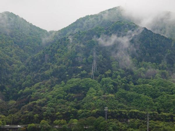 Chongqing Marriott Hotel : photo 2 de la chambre chambre double exclusive - vue sur montagne