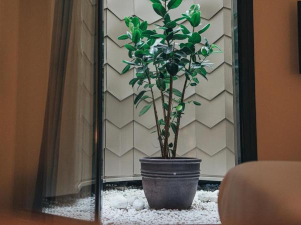 Hotel Arbaso : photo 5 de la chambre chambre double Économique