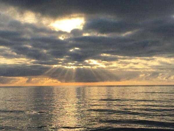 Lazy Lizard Motor Inn : photo 5 de la chambre studio familial