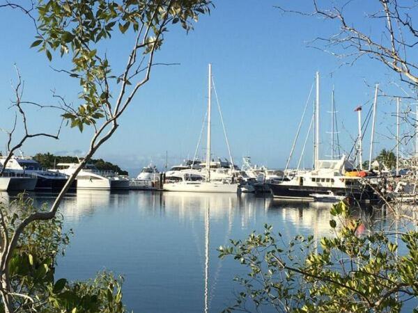 Lazy Lizard Motor Inn : photo 3 de la chambre studio lit king-size