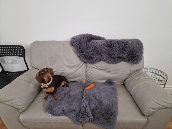 Aunty Katie's House, NI Tourist Board Certified & located on the main Oldpark Road to Belfast, with Free Continental Breakfast & Free Ultra Fast SKY internet, free SKY Sports & free SKY Cinema, Self-check in after 10pm GMT : photo 5 de la chambre chambre familiale adaptée aux personnes à mobilité réduite