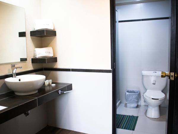 Hotel Diana del Bosque by DOT Urban : photo 4 de la chambre chambre lit queen-size 