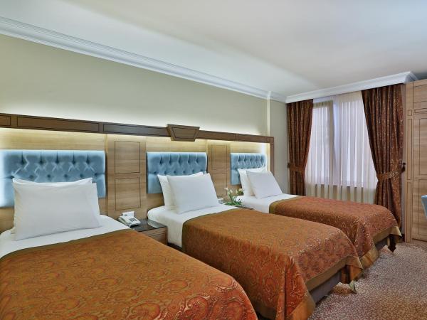 Budo Hotel : photo 1 de la chambre chambre triple