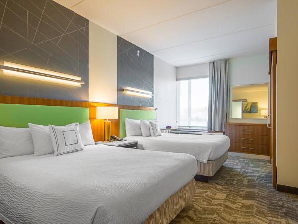 SpringHill Suites Tampa North/Tampa Palms : photo 2 de la chambre studio lit queen-size avec canapé-lit