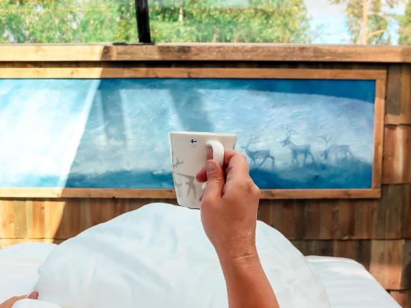 Aurora Pyramid Glass Igloos : photo 7 de la chambre chambre deluxe double ou lits jumeaux